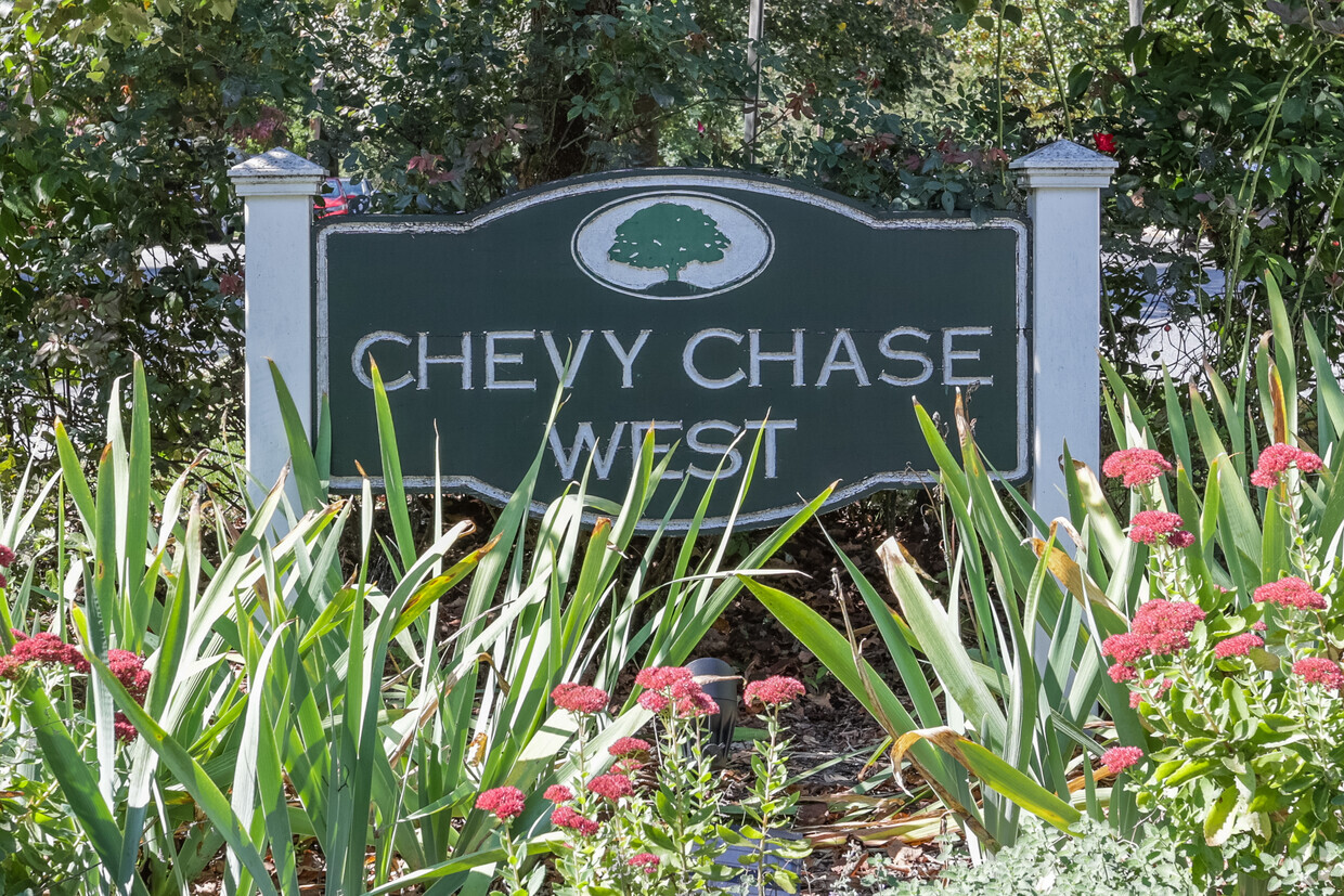 Bethesda + Chevy Chase - Things To Do