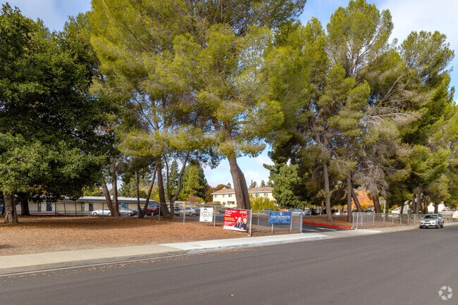 As-Safa Institute/As-Safa Academy provides a safe and nurturing environment for students.