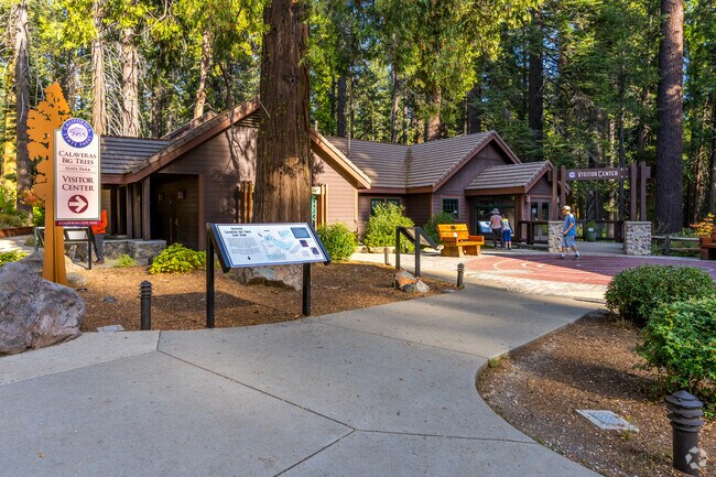 Calaveras Big Trees State Park has preserved sequoias since 1931.