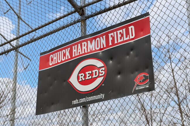 Locals can enjoy balls games at Harmon Field in Volunteer Park.