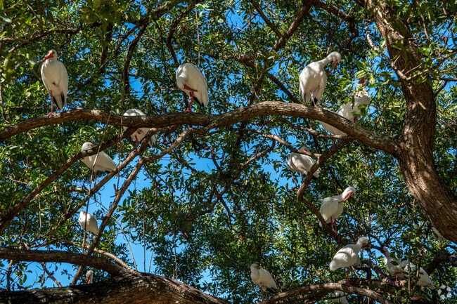 Ojus residents are surrounded by nature and wildlife.