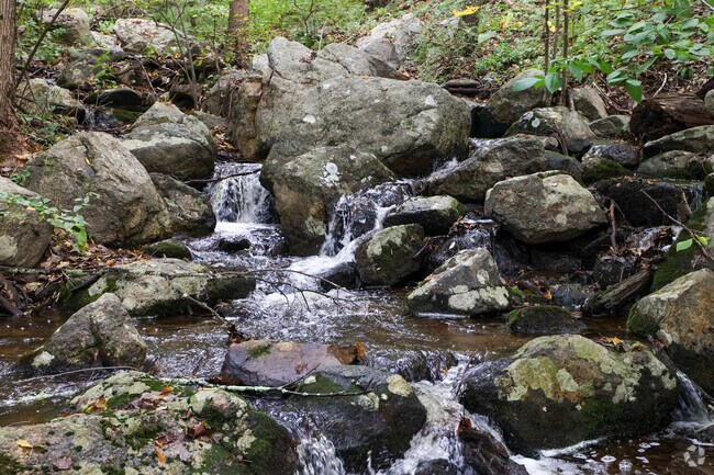 Listen to the sound of rushing water at Hurd State Park in Middle Haddam.
