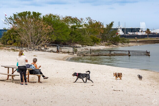 About Davis Islands Schools, Demographics, Things to Do