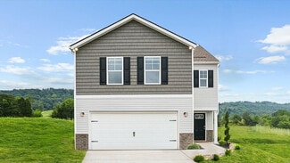 313 Alta Tree, Johnson City, TN 37604