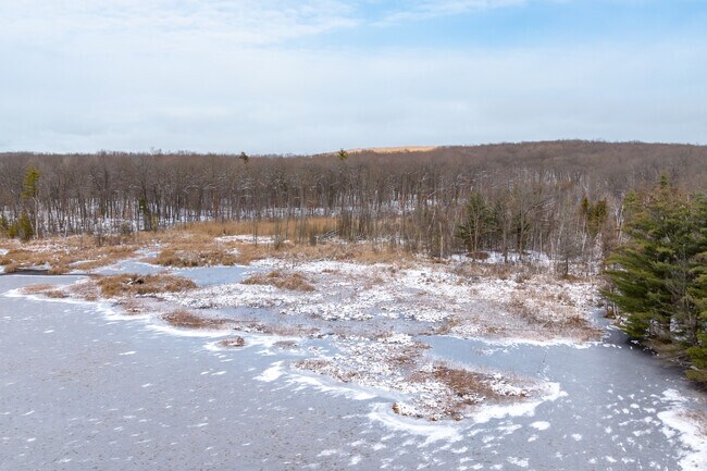 Hunters from all over flock to the Lapeer State Game Area during the hunting season.