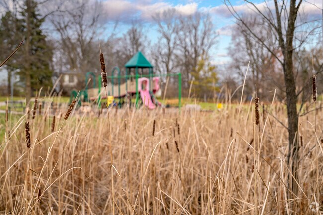 Enjoy the scenic views at one of Ann Arbor's local parks.
