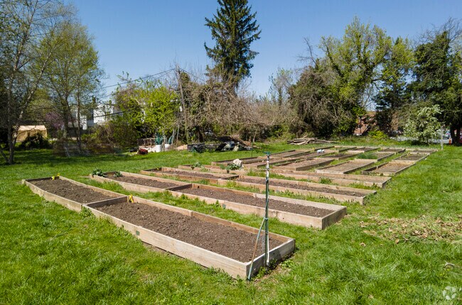 Locals maintain the Radnor-Winston Community Garden, which was established in 2009.
