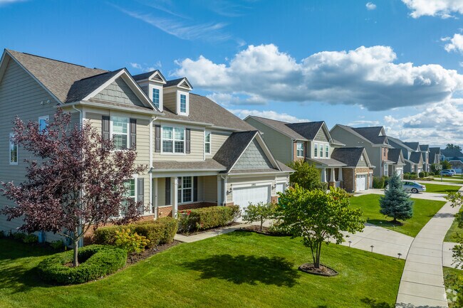 Single-family homes line the well-maintained Northeast Buffalo Grove neighborhood.