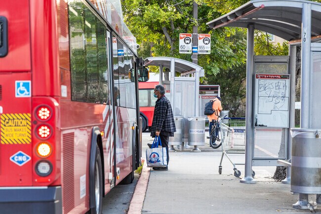 Ridgeview-Webster has many bus stops for MTS transportation.