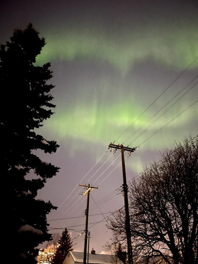 243 W 13th Ave unit ID1284535P, Anchorage, AK 99501 - photo 6