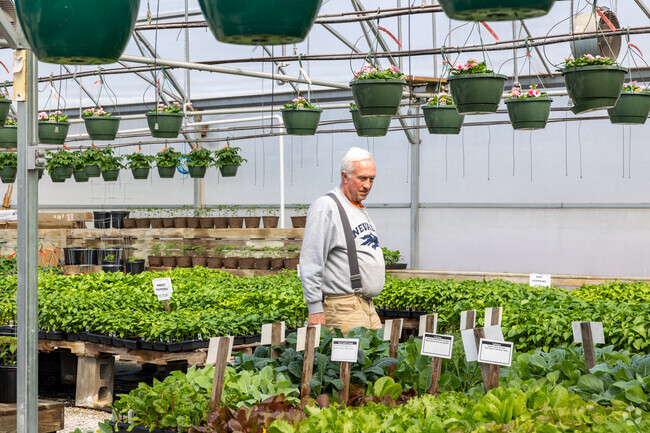 Farrand Farms Garden Center has a plethora of different plants, flowers and yard art.