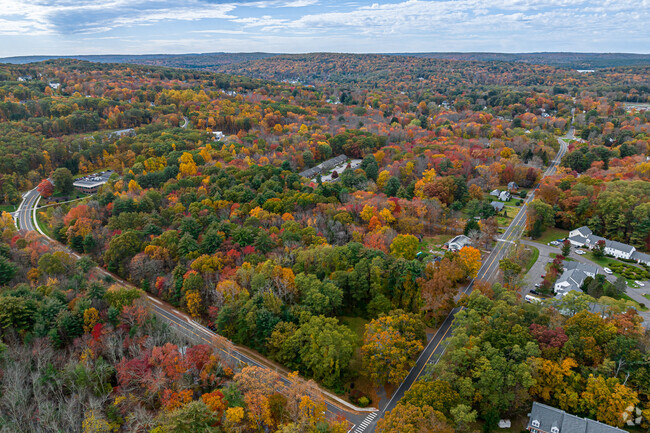 The area around Collinsville has an abundance of trees.