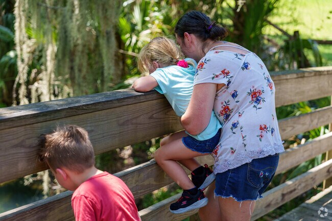A young Plantation Estates family searches for a resident alligator at Gemini Springs Park.