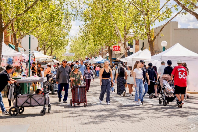 Lodi Street Fair is a annual event in The City of Lodi.