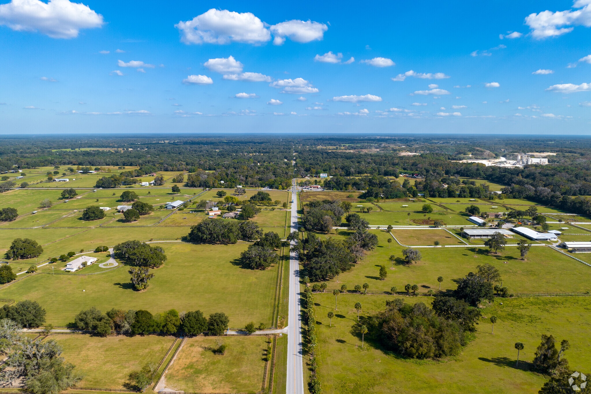 Citra features hundreds of large, open pasture horse farms.