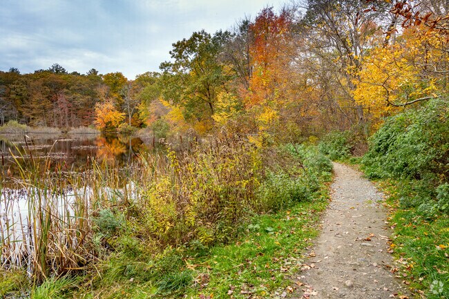 A vast variety of greenery adorns the trails of Frenchtown Park and Frye Nature Preserve.