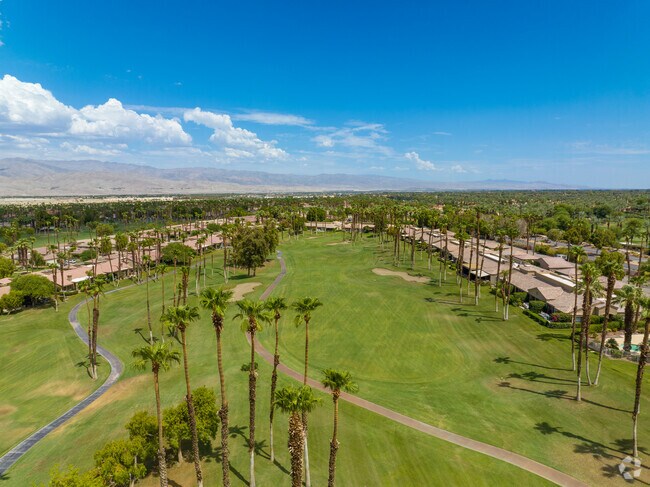 Desert blooms and lush greens, Palm Valley's contrasting beauty.