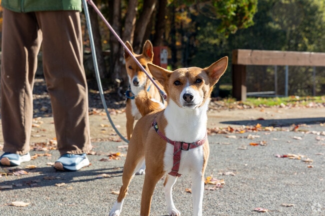 All of Greystone-Centredale's residents go for a walk at Governor John Notte Memorial Park.