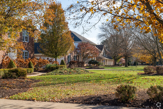 Homes in the Amherst-Height Clearview area feature large yards with mature trees.