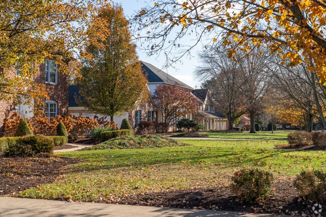 Homes in Amherst Heights-Clearview feature large yards with mature trees.
