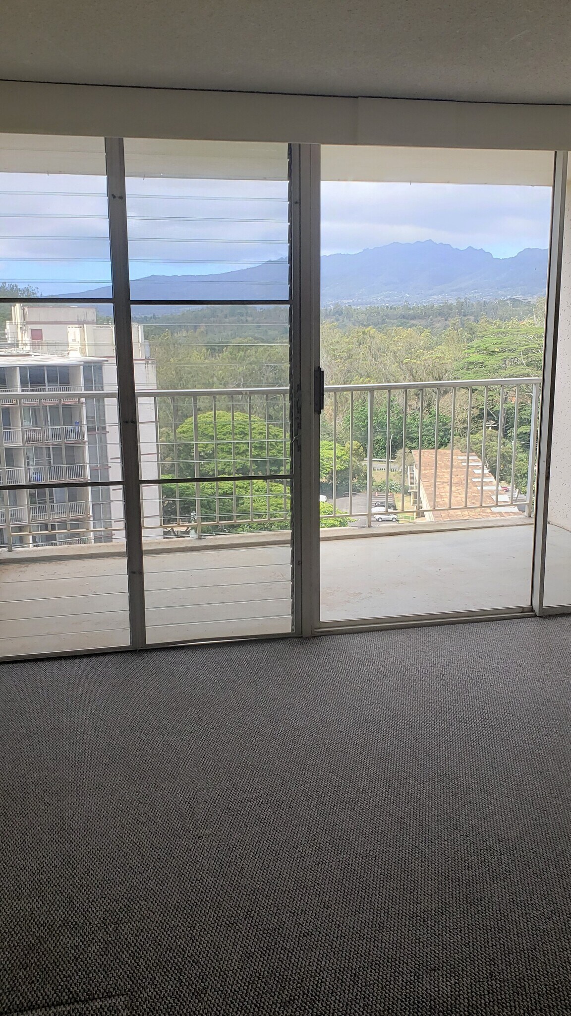 Living room, lanai view