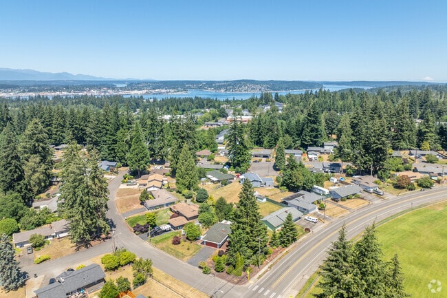 Parkwood's homes are nestled within the forest, offering serene bay views.