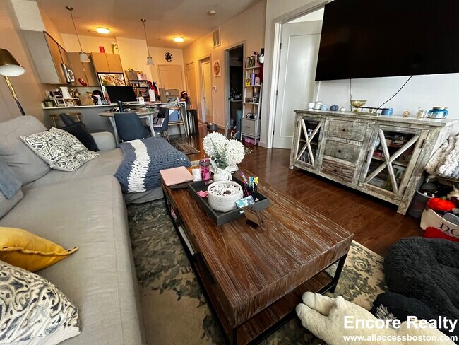 455 Harvard St unit 204, Brookline, MA 02446 - photo 2