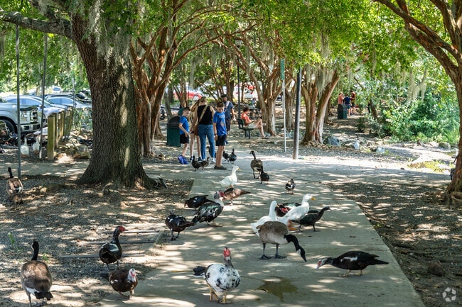 Enjoy the beauty of nature at Lake Ella.