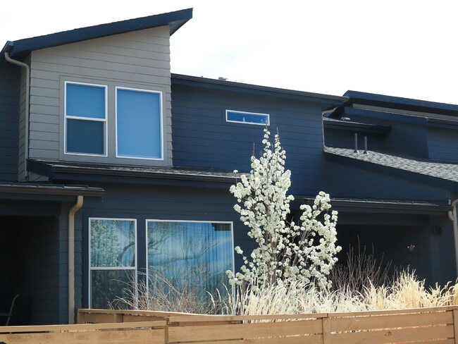 402 Skyraider Way unit 2, Fort Collins, CO 80524 - photo 2