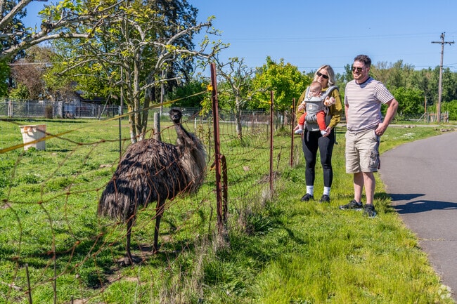 Visitors to Keizer can find oddities like an emu around the neighborhood.