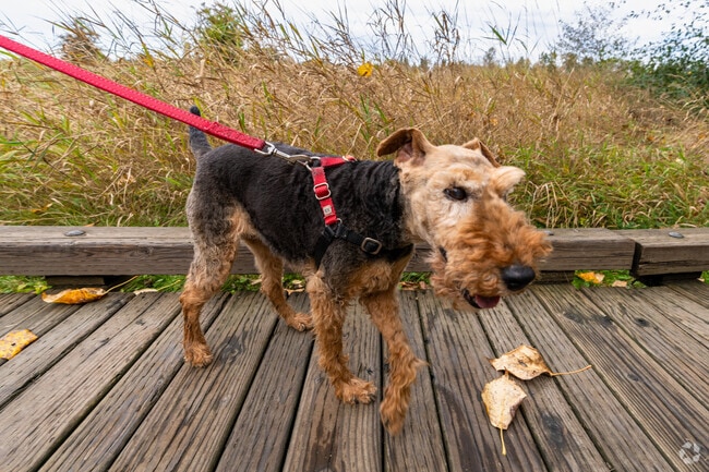Come join the pet-friendly community of North Creek Snohomish.