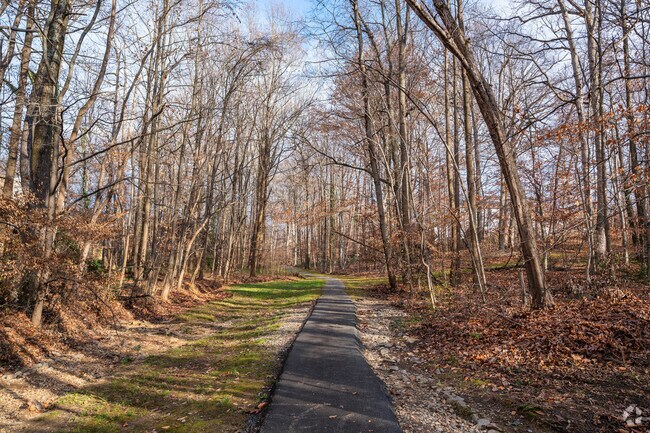 Locals enjoy a peaceful afternoon stroll in Sheffield Park.