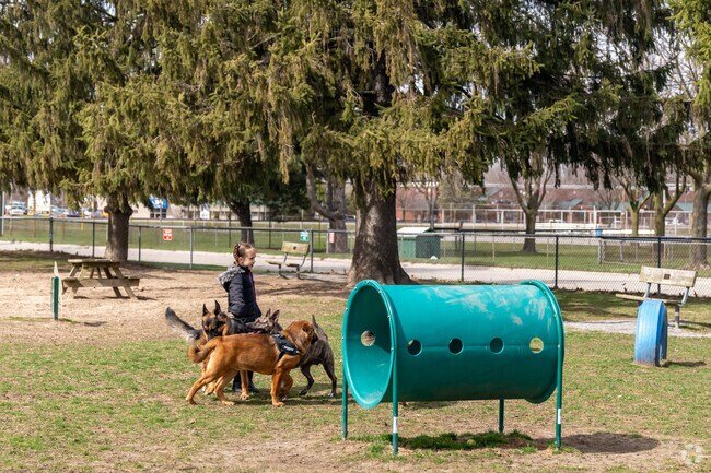Bring your dogs to play at Behnke Memorial Dog Park in Mount Clemens.