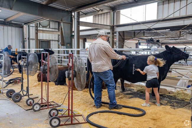 Families enjoy exhibits and activities at the Payne County Fair.