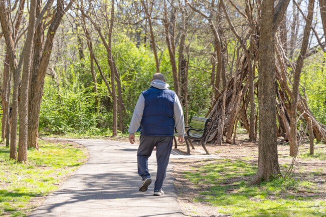 Take a walk into the woods at Sutton Wilderness Trail Park.