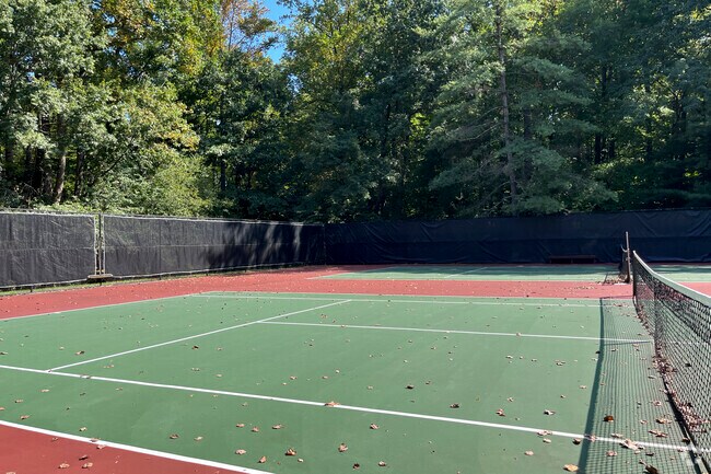 Tennis courts are available for an afternoon of fun in Burke Centre.