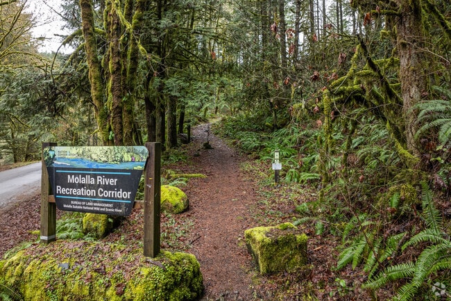 The Molalla River Recreation Corridor provides many hiking, fishing and mountain biking opportunities just outside of Molalla.