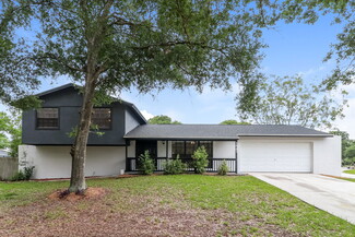 1447 Foggy Ridge Pkwy, Lutz, FL 33559