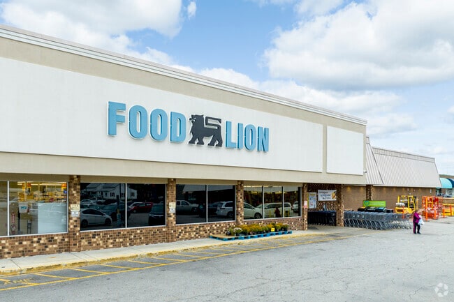 Food Lion and other shopping needs are within easy reach of Ingrams residents.