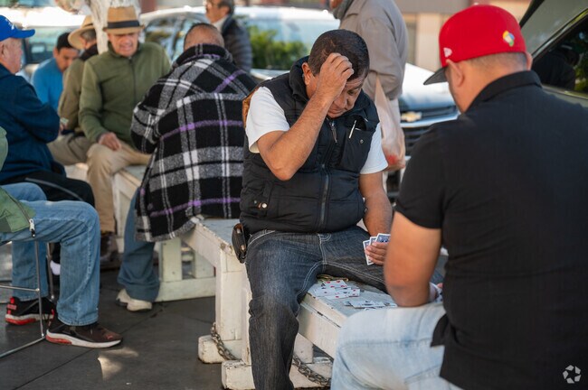 Card games underway as locals gather at Mariachi Plaza.