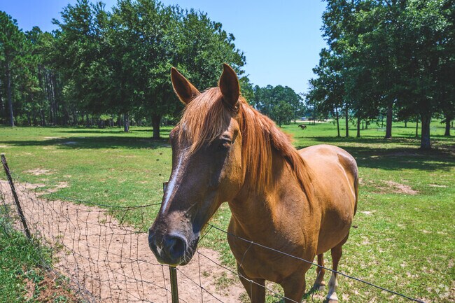 Linda's Learning Farm offers educational youth activities with animals 13 miles away.