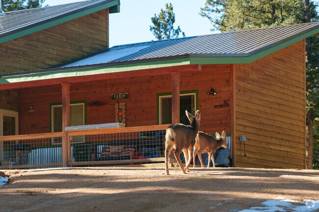 You'll have friendly neighbors in Divide.