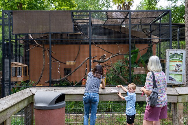 Charles Park families can watch many different animals at their local zoo.
