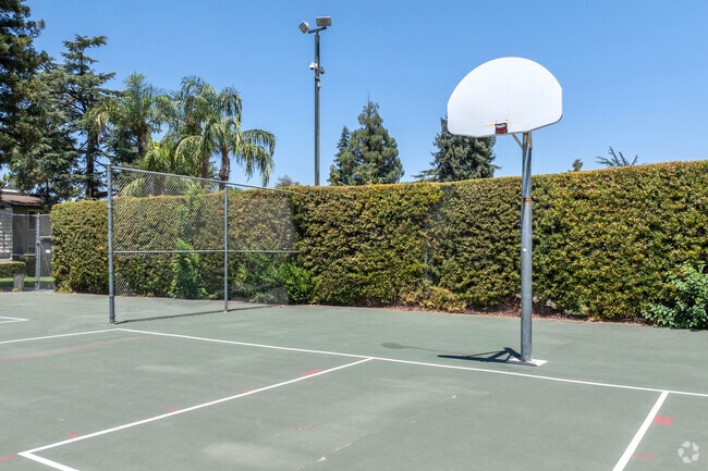 Basketball Court
