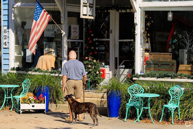Awendaw streets are peaceful, charming and dog-friendly.