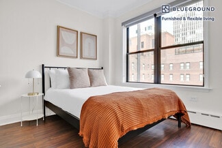 200 E Chestnut St Unit FL17-ID618, Chicago, IL 60611
