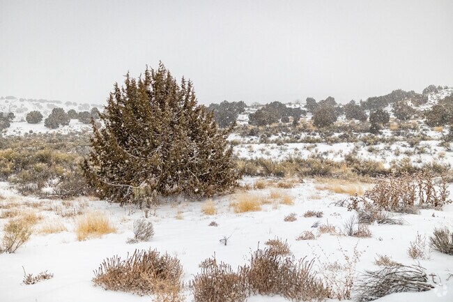 Snow beautifies a desert scene in Spring Creek.