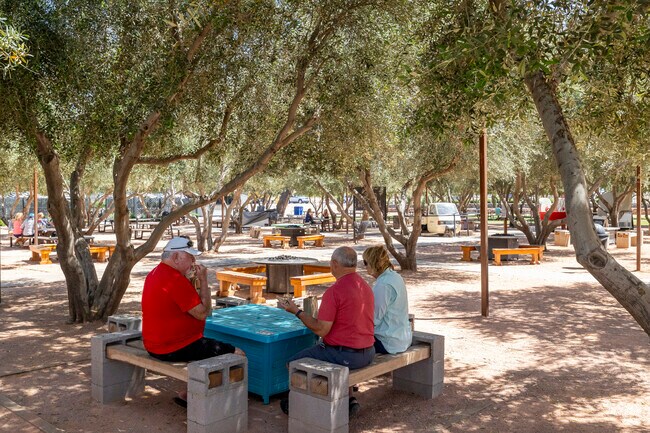 Grab a glass of local wine and a tasty bite at Queen Creek Olive Mill.