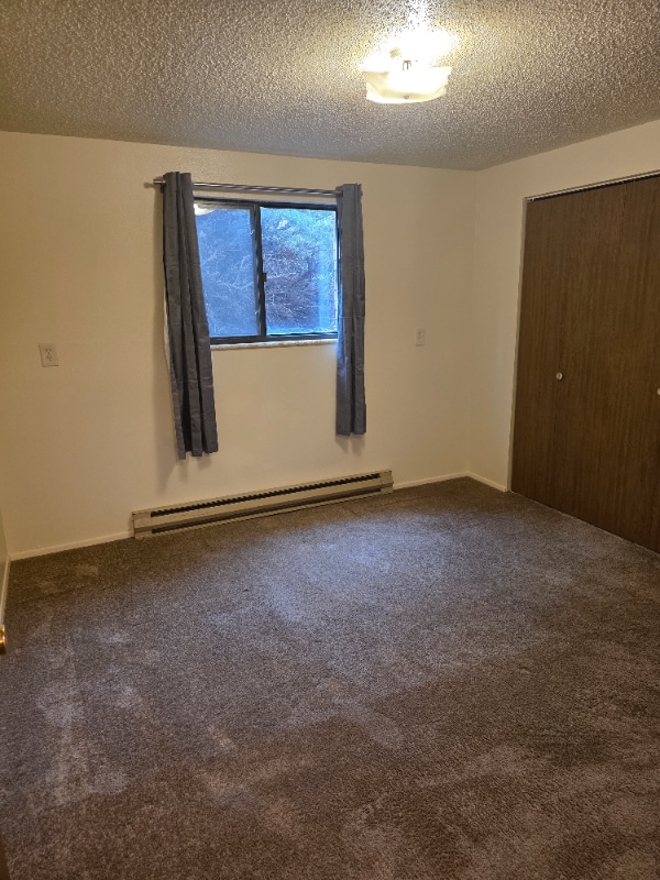 840 Stone Mountain Ct unit 4, Windsor, CO 80550 - photo 2