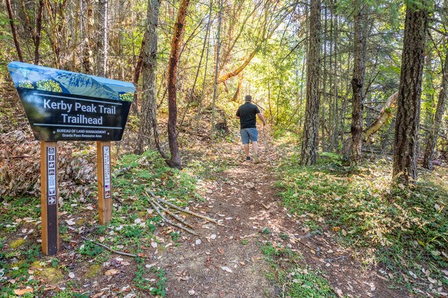 Kerby Peak Trail system features miles of trails ending at Kerby Peak.
